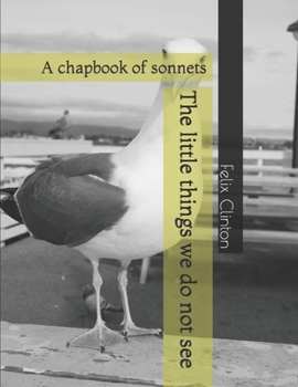 Paperback The little things we do not see: A chapbook of sonnets Book