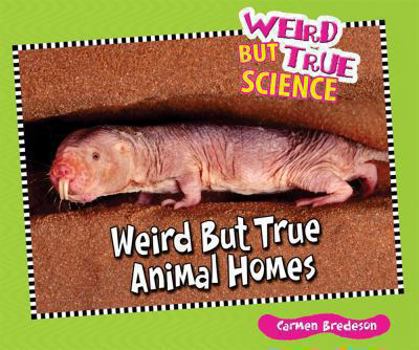 Library Binding Weird But True Animal Homes Book