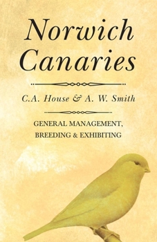 Paperback Norwich Canaries Book