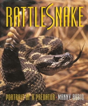 Hardcover Rattlesnake: Portrait of a Predator Book