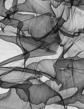 Paperback Quadrille Paper: Quad Rule graph paper,8.5 x 11 (4x4 graph paper) 100 pages Book