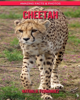 Cheetah: Amazing Facts & Photos