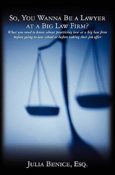 Paperback So, You Wanna Be a Lawyer at a Big Law Firm?: What you need to know about practicing law at a big law firm before going to law school or before taking Book