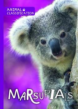 Paperback Marsupials Book