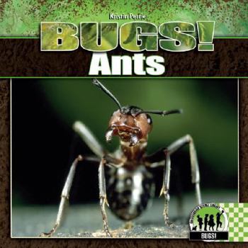 Ants - Book  of the Checkerboard Science Library: Bugs!
