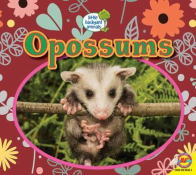 Paperback Opossums Book