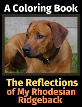 Paperback The Reflections of My Rhodesian Ridgeback: A Coloring Book