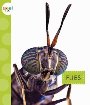 Flies - Book  of the Spot Creepy Crawlies