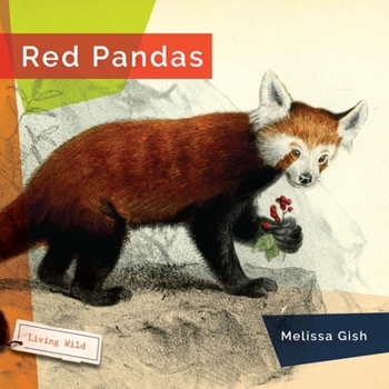 Paperback Red Pandas Book
