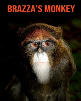 Brazza's Monkey: Amazing Facts & Pictures