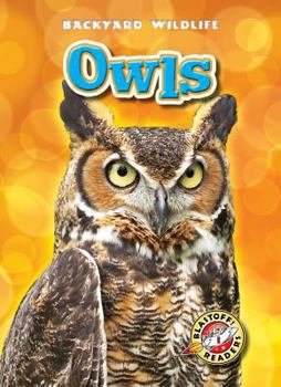 Owls - Book  of the Backyard Wildlife