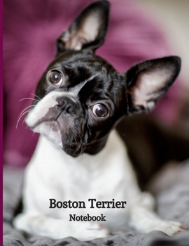 Paperback Boston Terrier Notebook: Notebook For Boston Terrier Lovers - Boston Terrier Journal Gift Idea For Boston Terrier Owners, Breeders, Pet Owner A Book