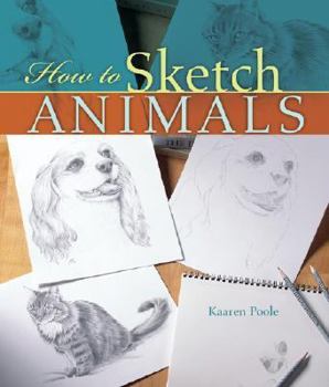 Paperback How to Sketch Animals Book