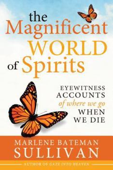 Paperback The Magnificient World of Spirits: Eyewitness Accounts of Where We Go When We Die Book