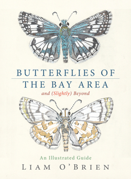 Hardcover Butterflies of the Bay Area and (Slightly) Beyond: An Illustrated Guide Book