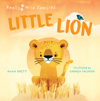 Hardcover Little Lion: A Day in the Life of a Little Lion Book