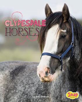 Hardcover Clydesdale Horses Book
