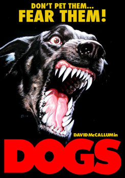 DVD Dogs Book