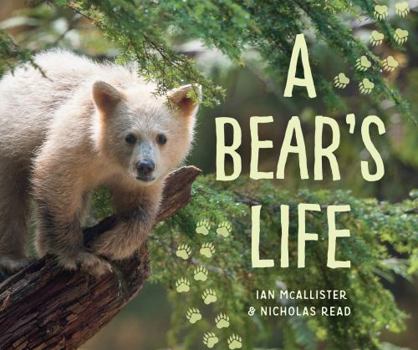 A Bear's Life - Book  of the My Great Bear Rainforest