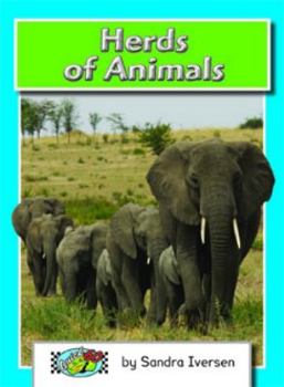 Herds of Animals (Quick60 Quick Kit K-m)