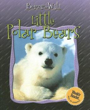 Library Binding Little Polar Bears Book