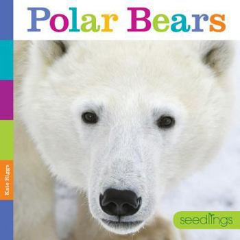 Polar Bears - Book  of the Seedlings