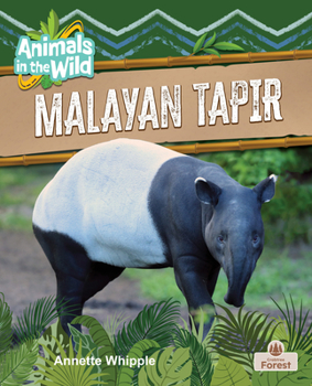 Malayan Tapir (Animals in the Wild)