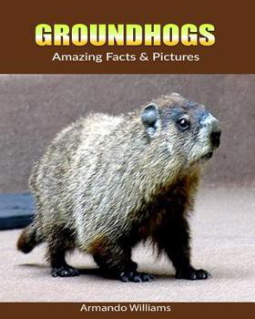 Paperback Groundhogs: Amazing Facts & Pictures Book