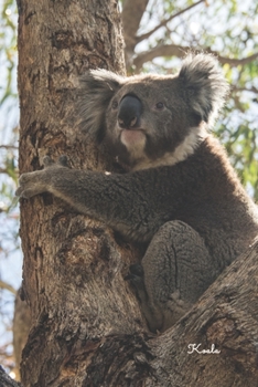 Koala: Notizbuch / Tagebuch / Reisetagebuch süßer Koala Tierfoto - DIN A5 120 Seiten punktiert / Punkteraster - Geschenk Koalabär (German Edition)