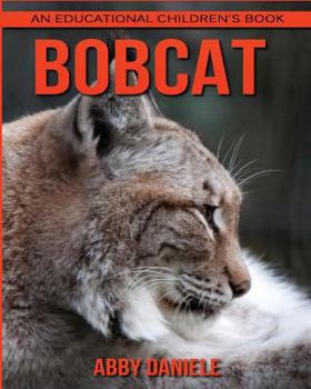 Paperback Bobcat! An Educational Children's Book about Bobcat with Fun Facts & Photos Book