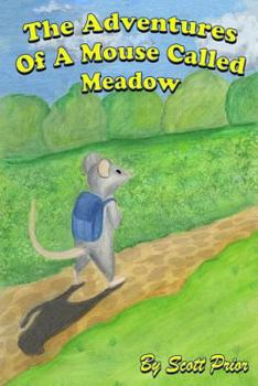 The Adventures Of A Mouse Called Meadow