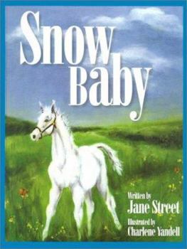 Hardcover Snow Baby Book