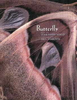 Hardcover Butterfly: The Butterfly Book