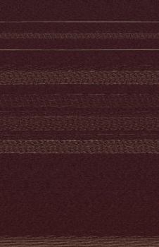 Paperback Daniel y el reino mesianico (Daniel And the Messianic Kingdom) (Spanish Edition) Book