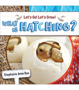 Paperback What Is Hatching? Book