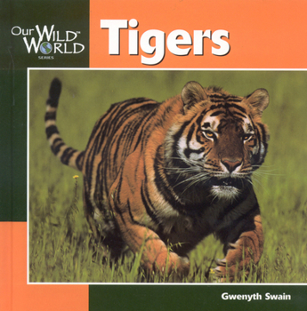 Hardcover Tigers (Our Wild World) Book
