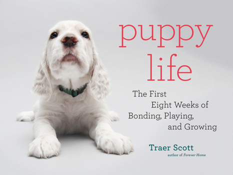 Hardcover Puppy Life: The First Eight Weeks of Bonding, Playing, and Growing Book
