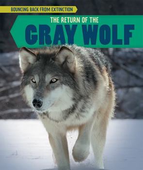 Library Binding The Return of the Gray Wolf Book