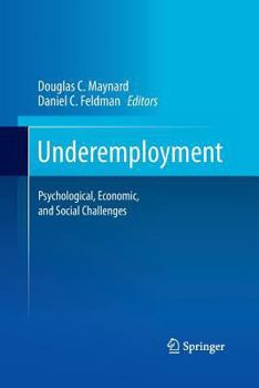 Paperback Underemployment: Psychological, Economic, and Social Challenges Book