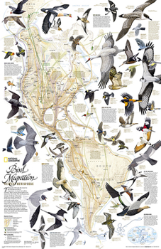 Unbound National Geographic Bird Migration, Western Hemisphere Wall Map (20.25 X 31.25 In) Book