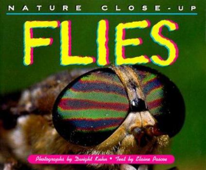 Hardcover Flies Book