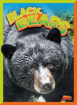 Paperback Black Bears Book