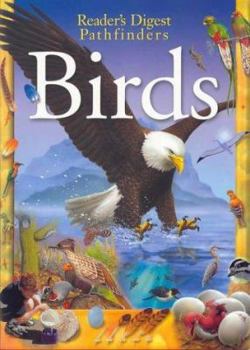 Paperback Birds Book