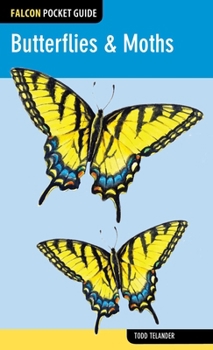 Paperback Butterflies & Moths Book