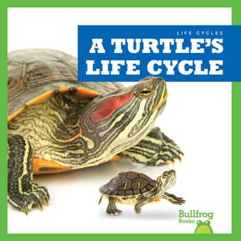 Paperback A Turtle's Life Cycle Book