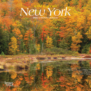 New York Wild & Scenic 2022 7 x 7 Inch Monthly Mini Wall Calendar, USA United States of America Northeast State Nature