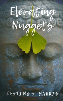 Paperback Elevating Nuggets Book