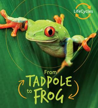 Tadpole to Frog - Book  of the Lifecycles