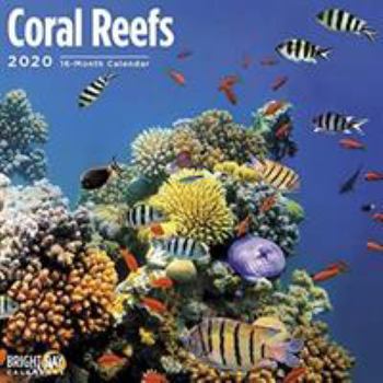 Calendar Coral Reefs Wall Calendar 2020 Book