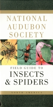 Paperback National Audubon Society Field Guide to Insects and Spiders: North America Book